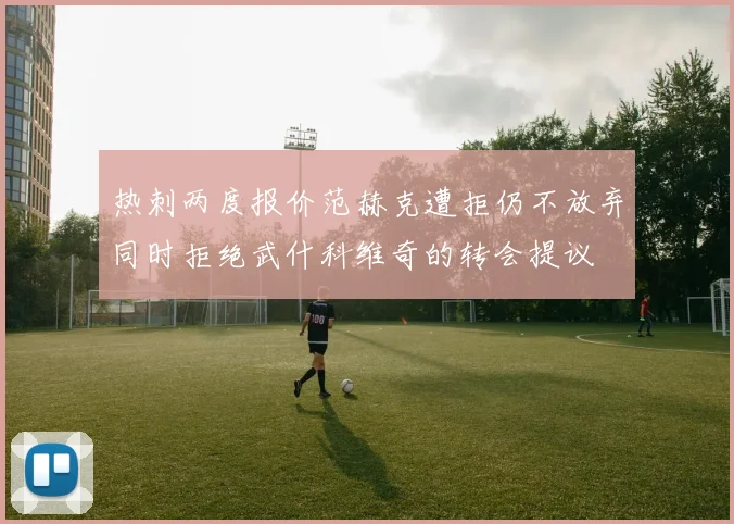 热刺两度报价范赫克遭拒仍不放弃同时拒绝武什科维奇的转会提议