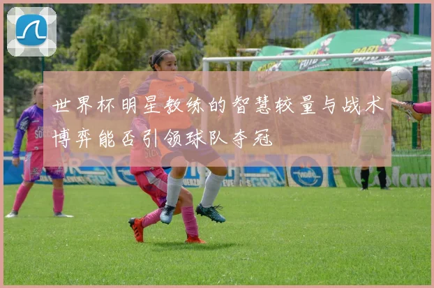 世界杯明星教练的智慧较量与战术博弈能否引领球队夺冠